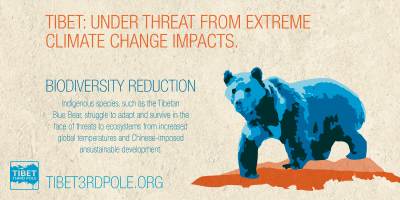 Wildlife Preservation