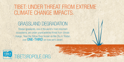 Grassland Degradation